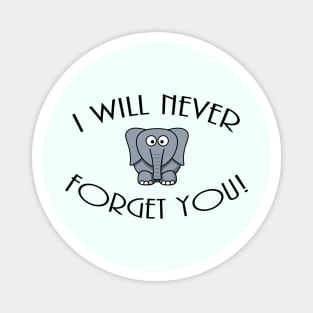 I Wil Never Forget You! Magnet